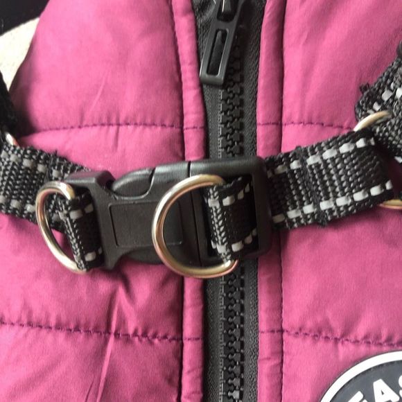 Never Used Extra Small Dog Winter puffy Jacket! Tag removed. Zip up. - Picture 5 of 8